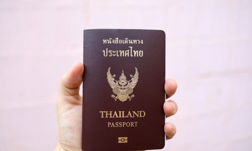 Thai passport on a pink background